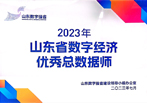 “2023年度山东省优秀总数据师”